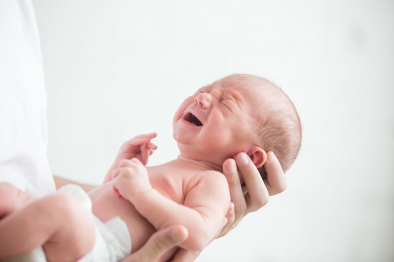 Portrait of a screaming newborn hold at hands, family, healthy birth concept photo, close up; Shutterstock ID 504191878; purchase_order: DNC Thumbnails; job: Webinars 2 (50/188); client: ; other: 