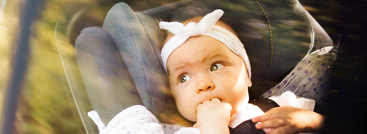 Oysters In Pregnancy