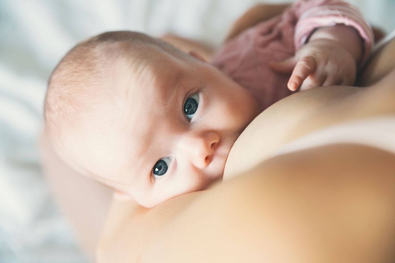 Baby eating mother's milk. Mother breastfeeding baby. Beautiful mom breast feeding her newborn child. Young woman nursing and feeding baby. Concept of lactation infant.; Shutterstock ID 745570315; purchase_order: DNC Thumbnails; job: Webinars 2 (50/188); client: ; other: 