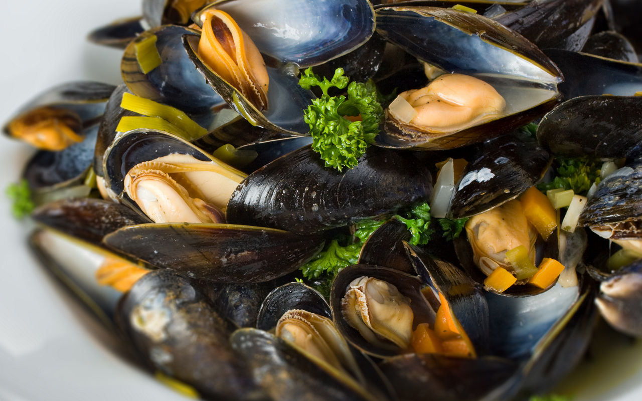 sources-of-zinc-mussels