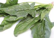 spinach-ricotta-bites.jpg