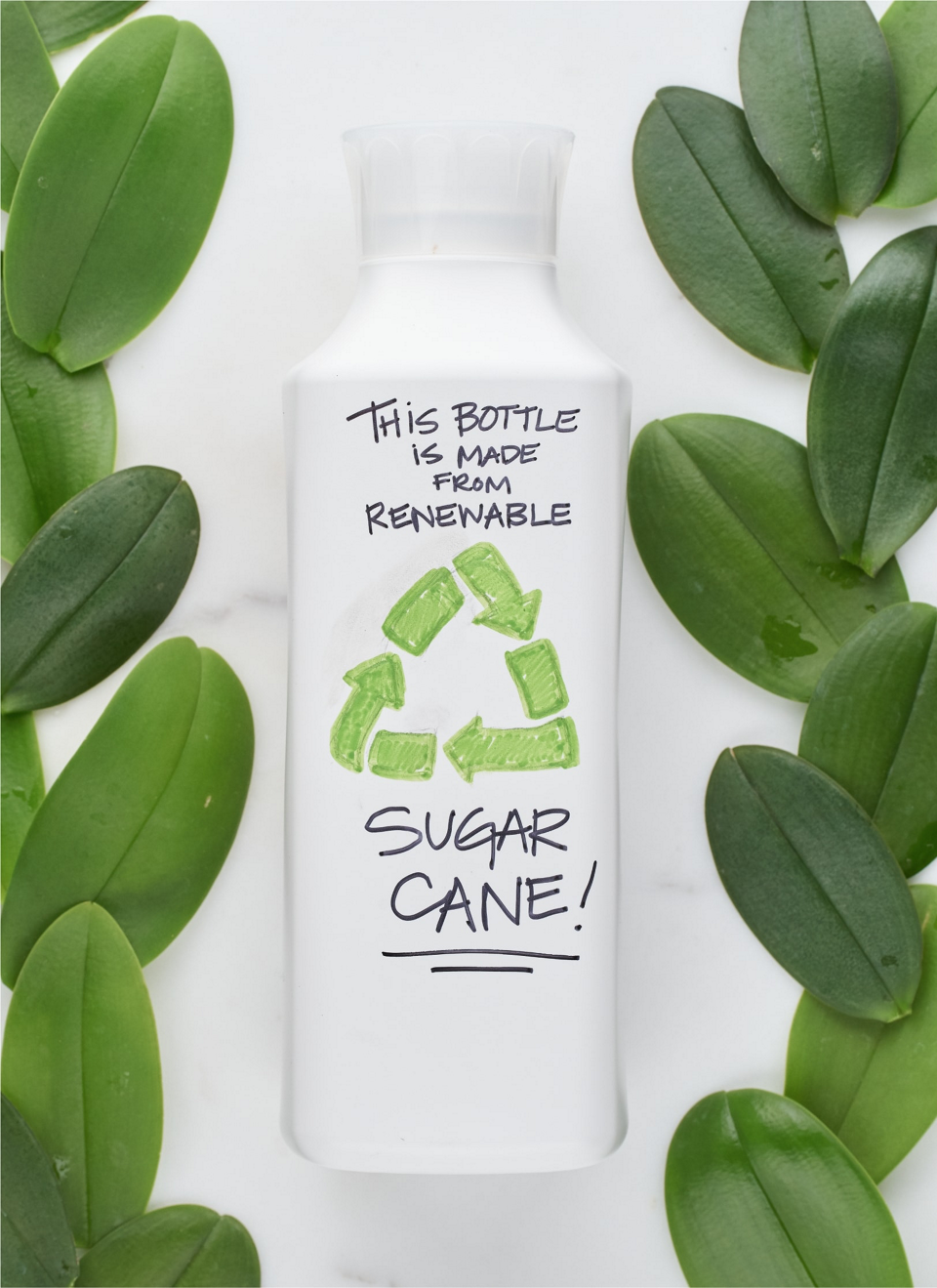 Plant Packaging Proven Winners ColorChoice Debuts New Sustainable