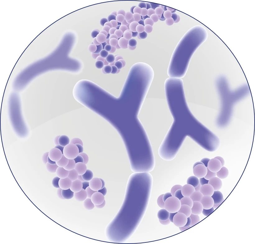cows-milk-allergy-under-microscope
