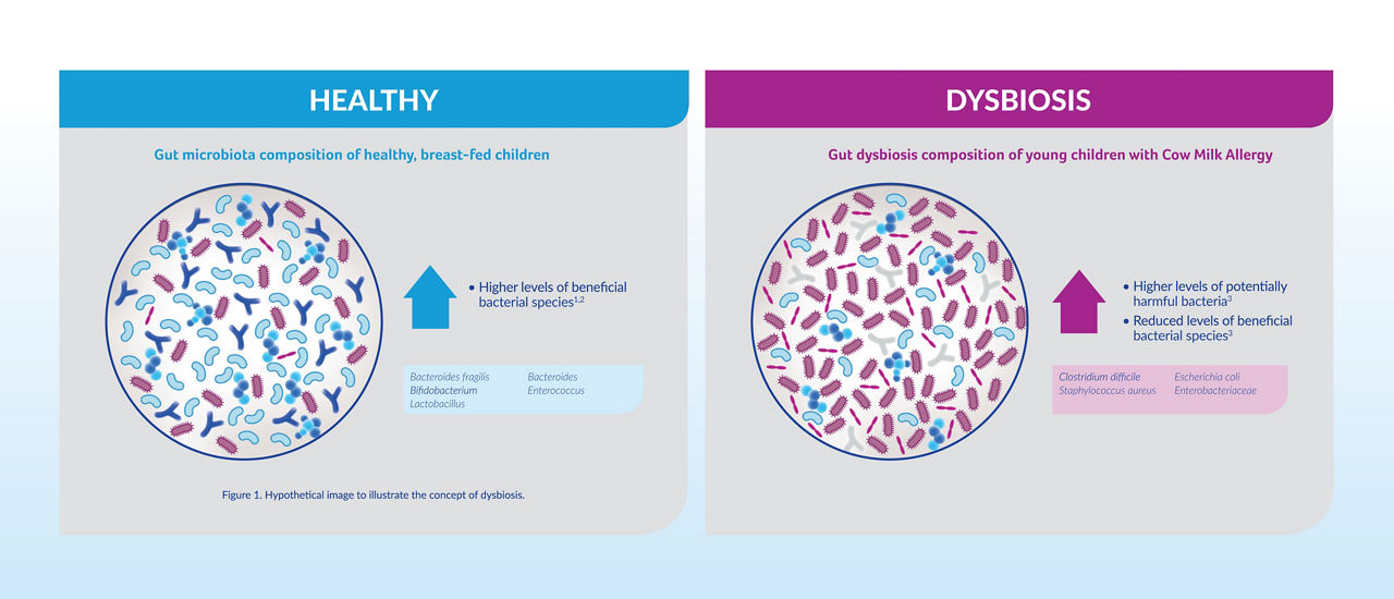 synbiotics-bacteria