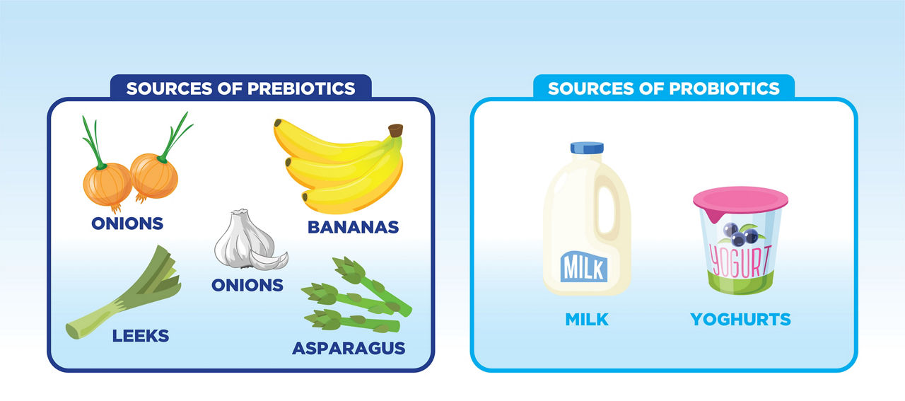 synbiotics-fruits