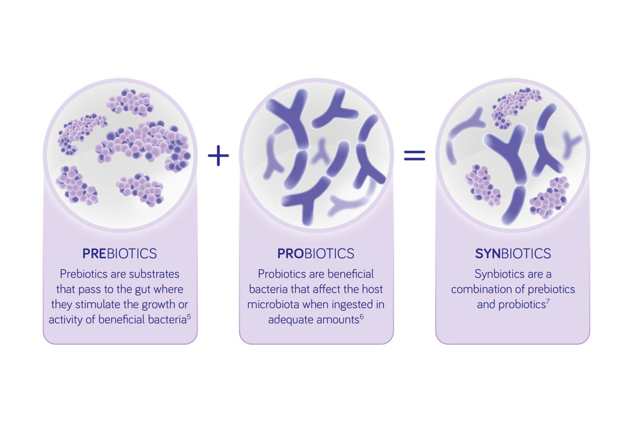what are synbiotics
