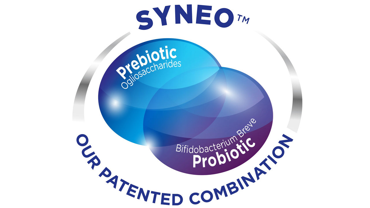 syneo-logo.jpg