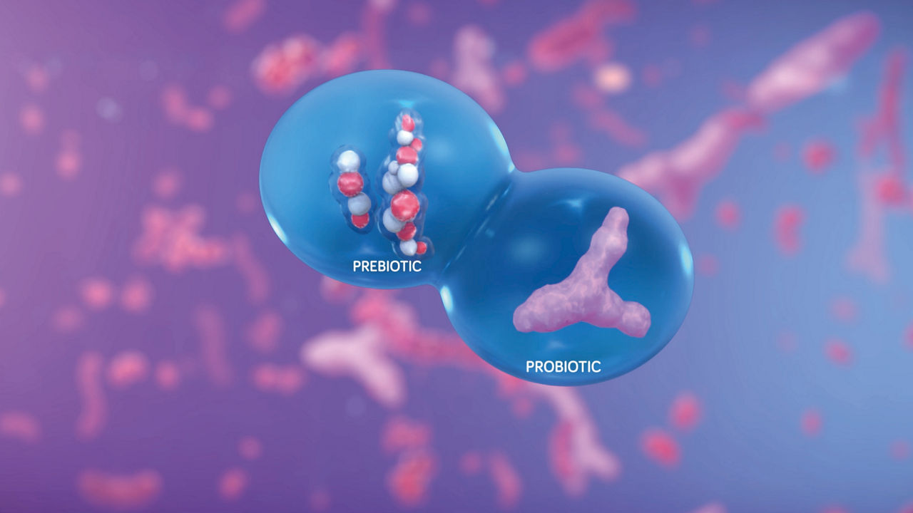 Microbiota microscope view