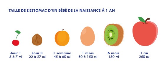 Taille-EstomacBB2