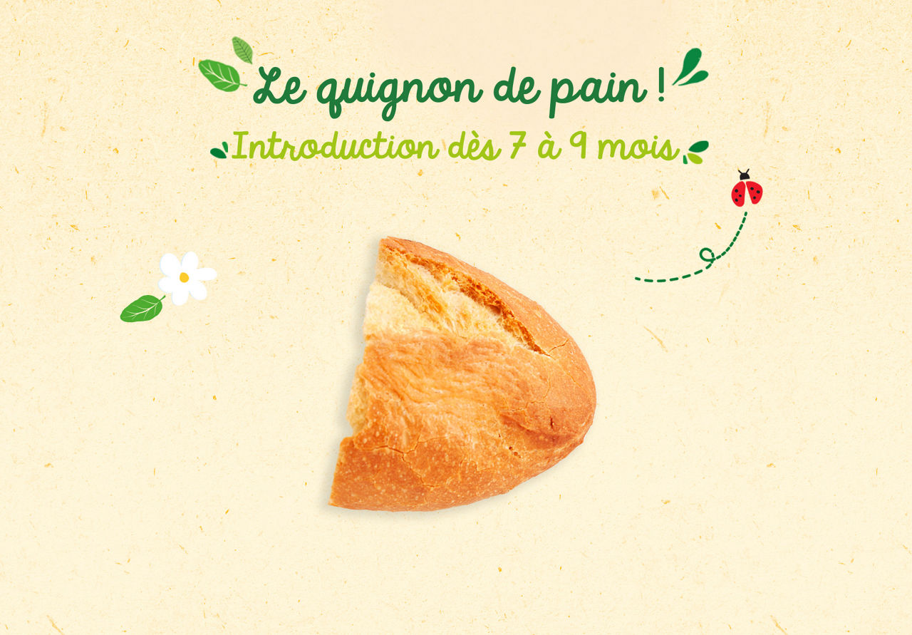 Introduction de la cro�te de pain pour les bebes