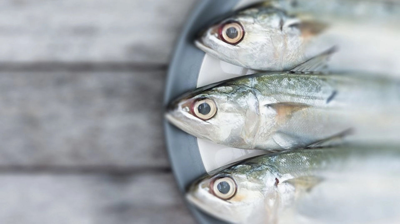 Three fish on a plate