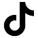 Tiktok icon