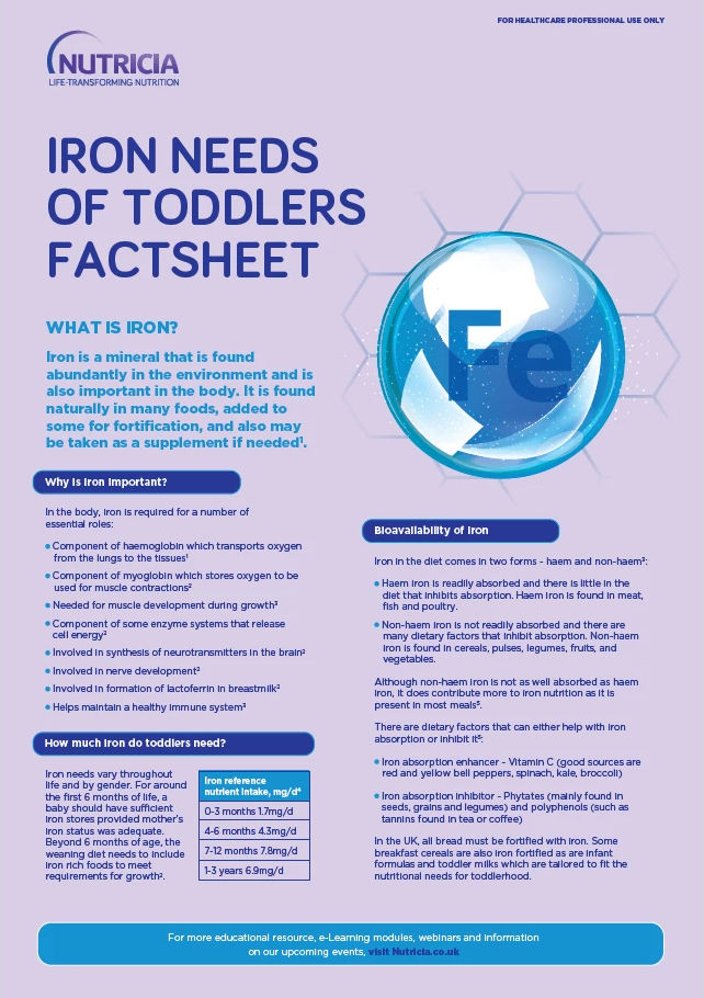 toddler-iron-factsheet