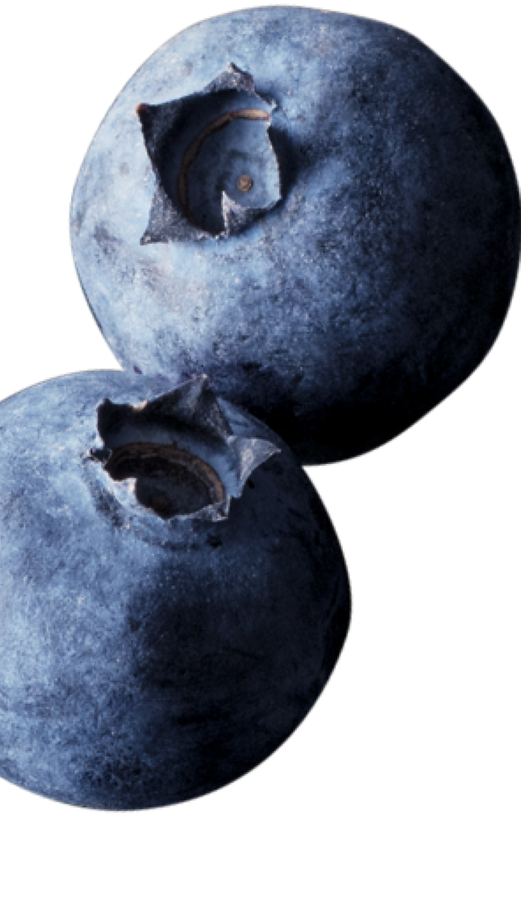 Decoration blueberry