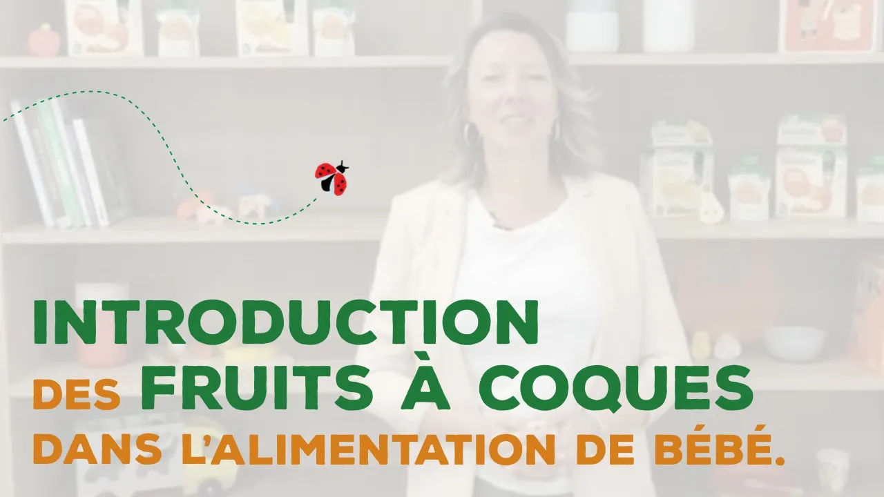 visuel vidéo introduction fruits à coque