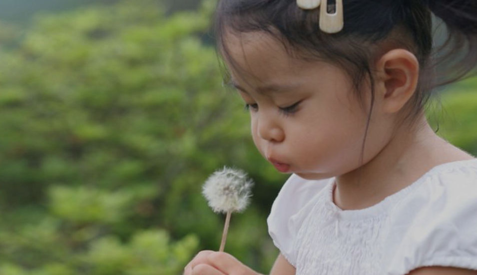 Girl blowing dandelion in meadow