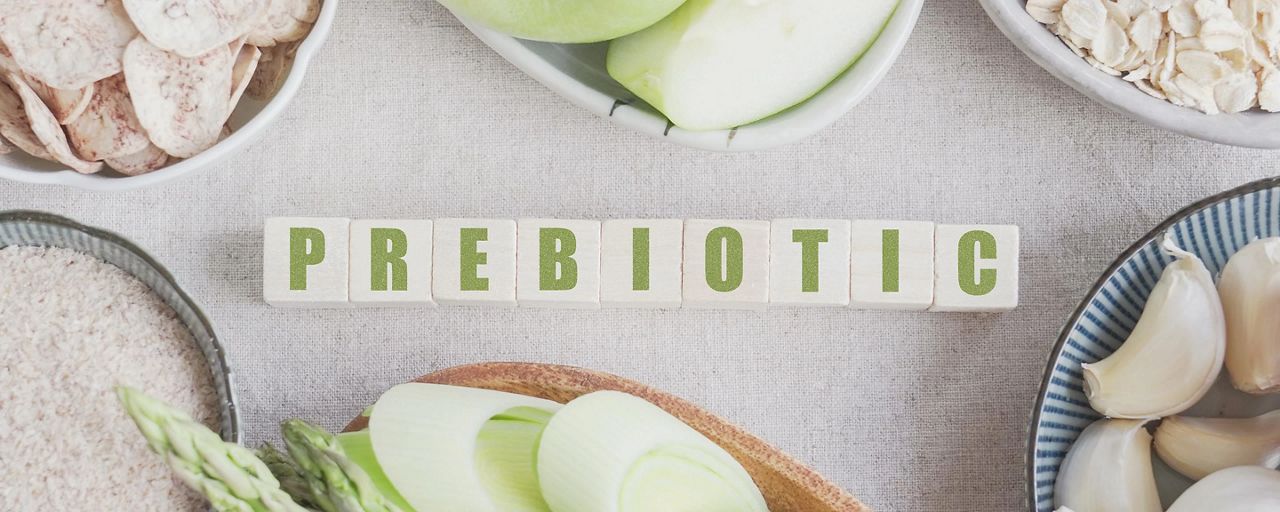 what-are-prebiotics
