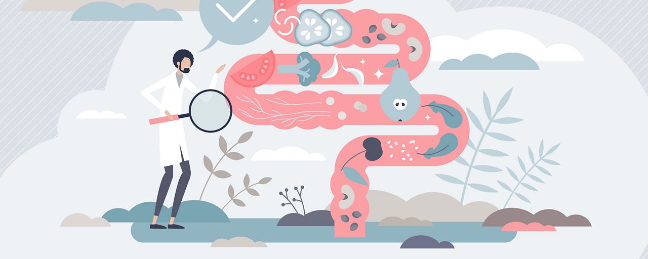 graphic of gut with a scientist and magnifying glass
