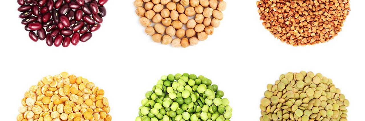 Oysters In Pregnancy