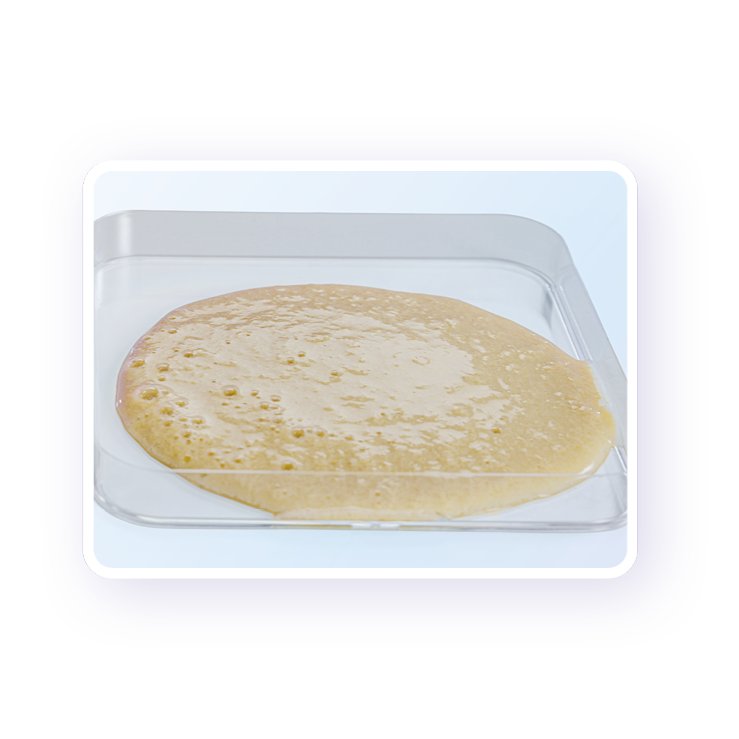 Zuivel-dominante P4 eiwitmix van Nutrison Protein Plus