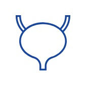 bladder-icon1 