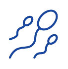 Sperm