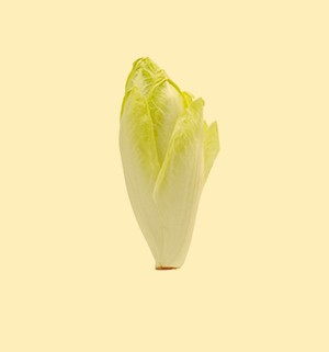 Endive