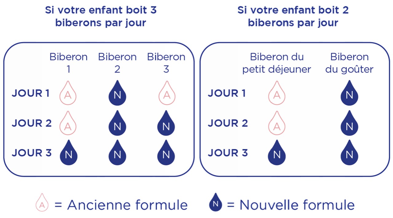 Transition lait croissance junior
